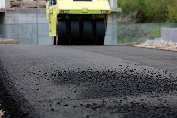 Best Driveway Pavers Near Me  in Wallace, NC